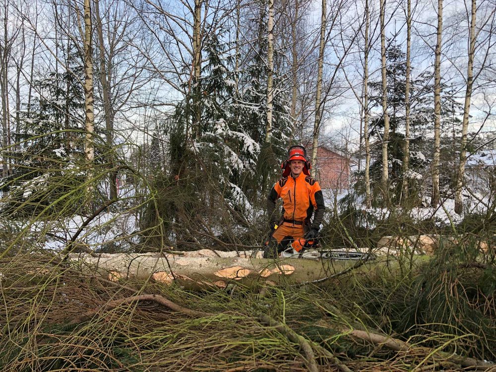 Magnus Dahlgren på Dahlgren Allround hjälper dig att effektivt fälla träd på vintern