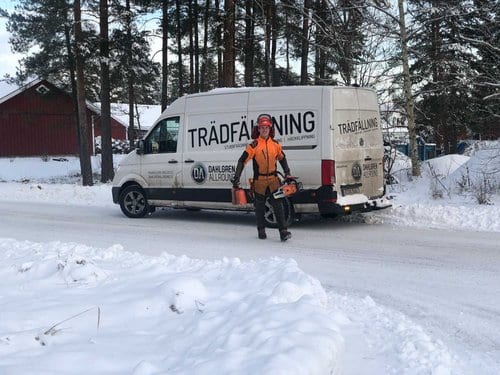 Magnus Dahlgren på Dahlgren Allround utför trädfällning på vintern