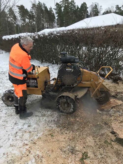 Tommy på Dahlgren Allround utför stubbfräsning i Gryta, Västerås