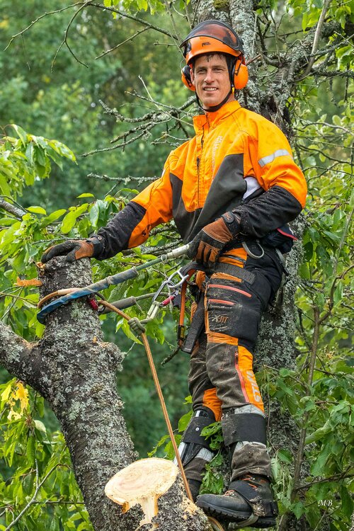 Magnus Dahlgren hjälper dig att fälla träd genom klättring i Västerås & Mälardalen