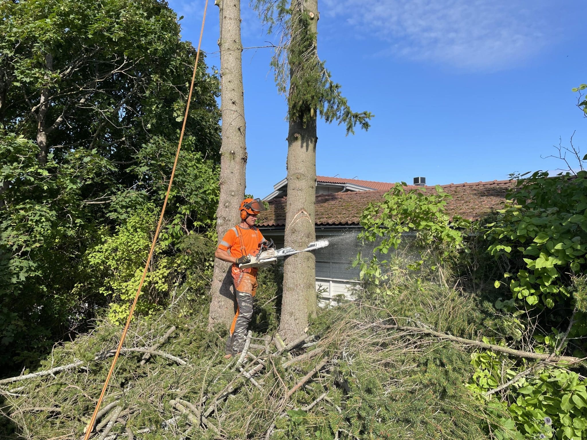 Dahlgren Allround är din specialist på trädfällning och hjälper dig att effektivt såga ner träd